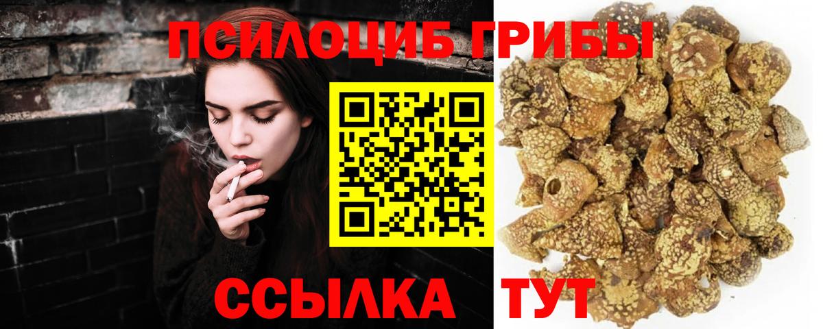 Псилоцибиновые грибы Psilocybine cubensis  Вход с VPN  Ставрополь 