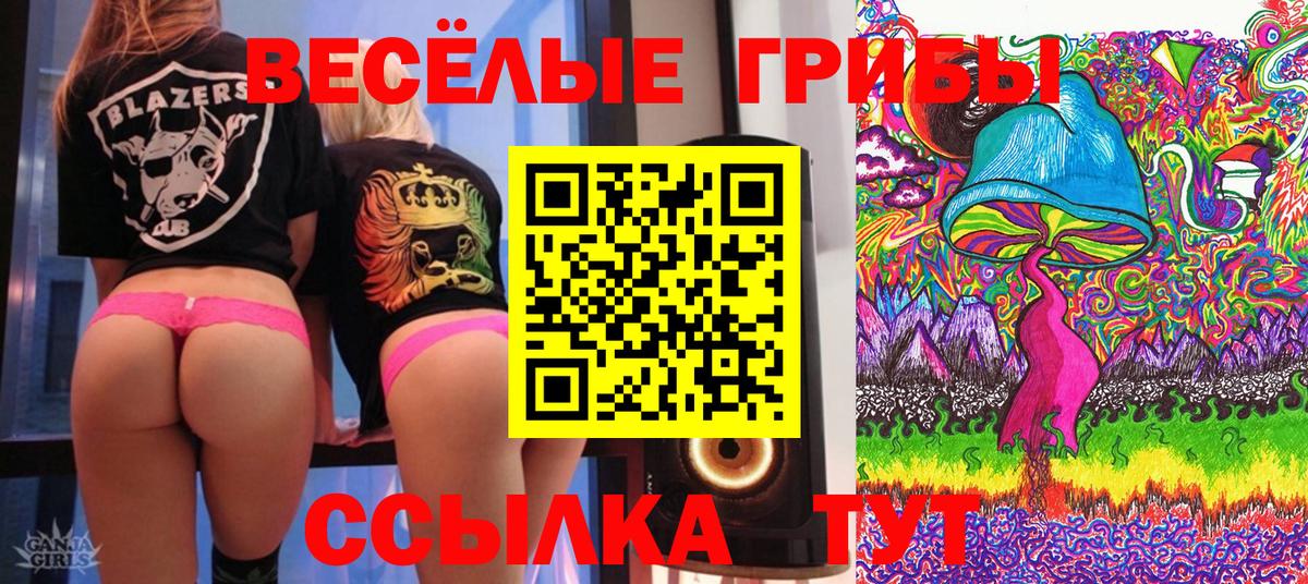 Галлюциногенные грибы GOLDEN TEACHER Ставрополь