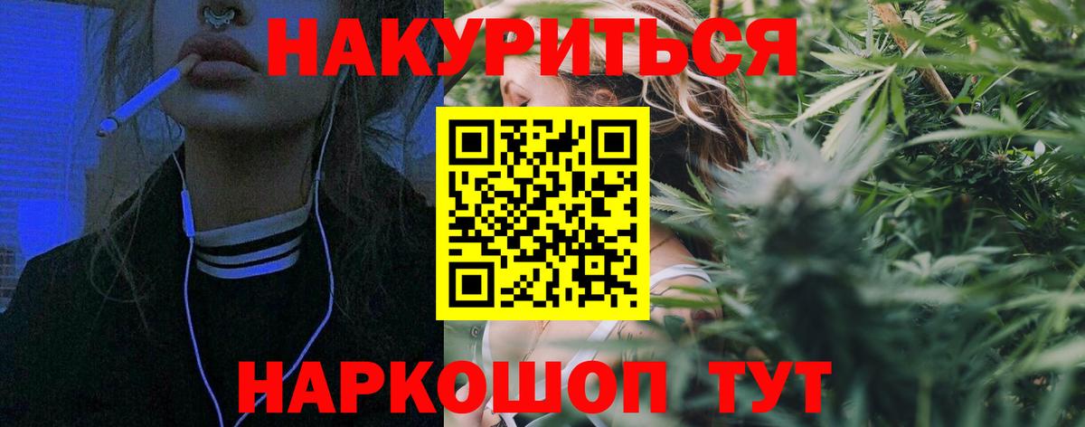 Конопля сатива Ставрополь